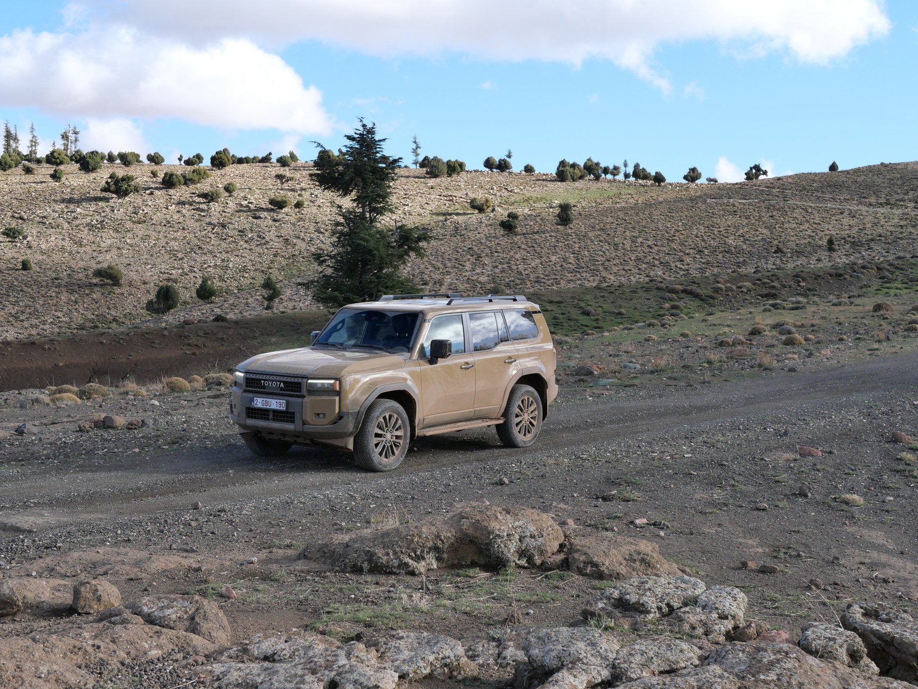 Toyota Land Cruiser 250