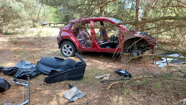 Demontowali kradzione auta w lesie. Złapała ich policyjna grupa "Orzeł"