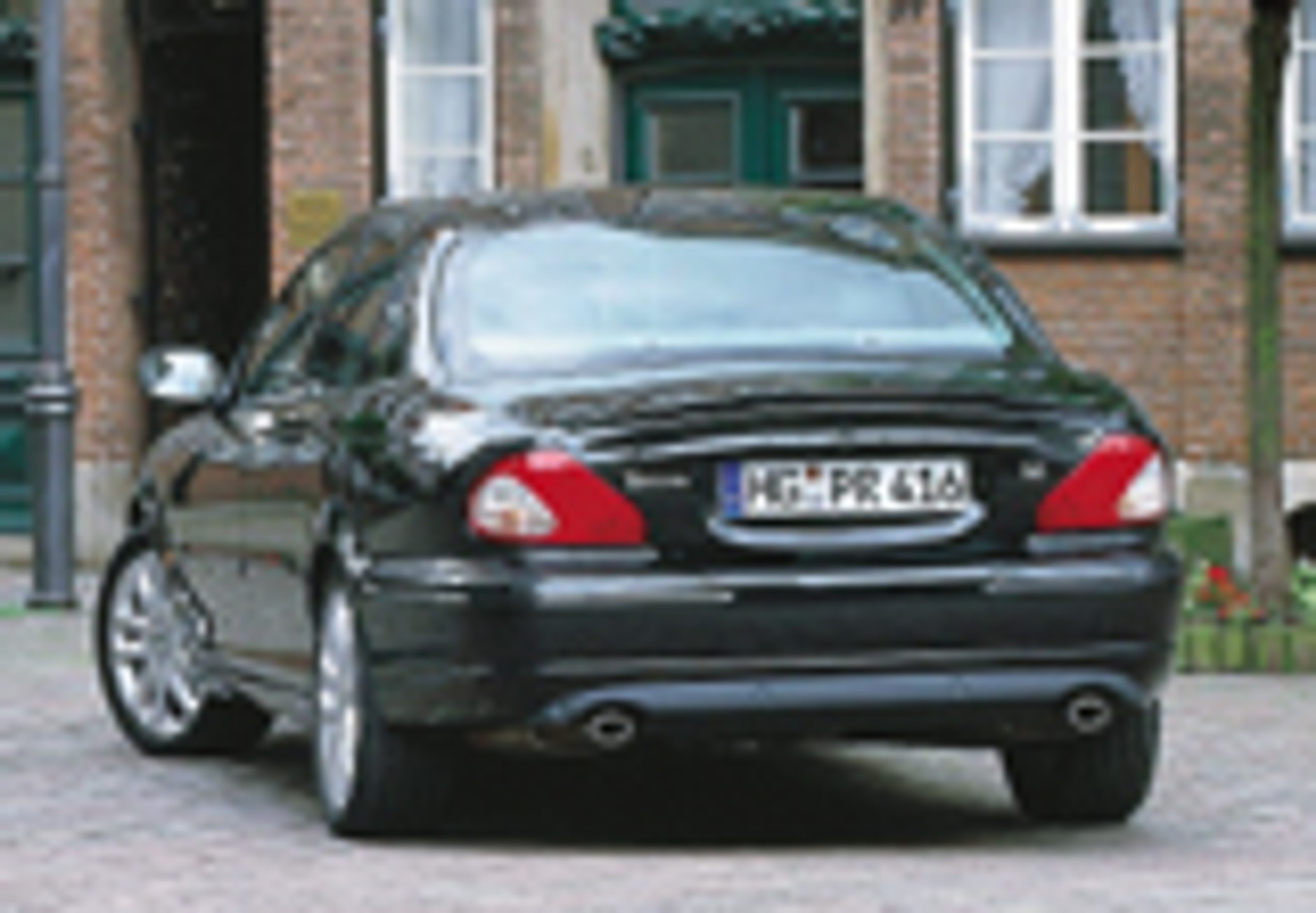 Błękitnokrwisty sportowiec