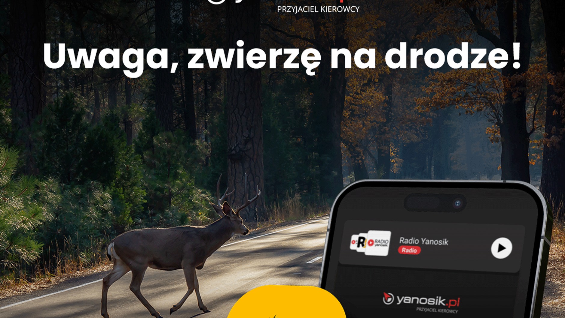Nowa funkcja Yanosik
