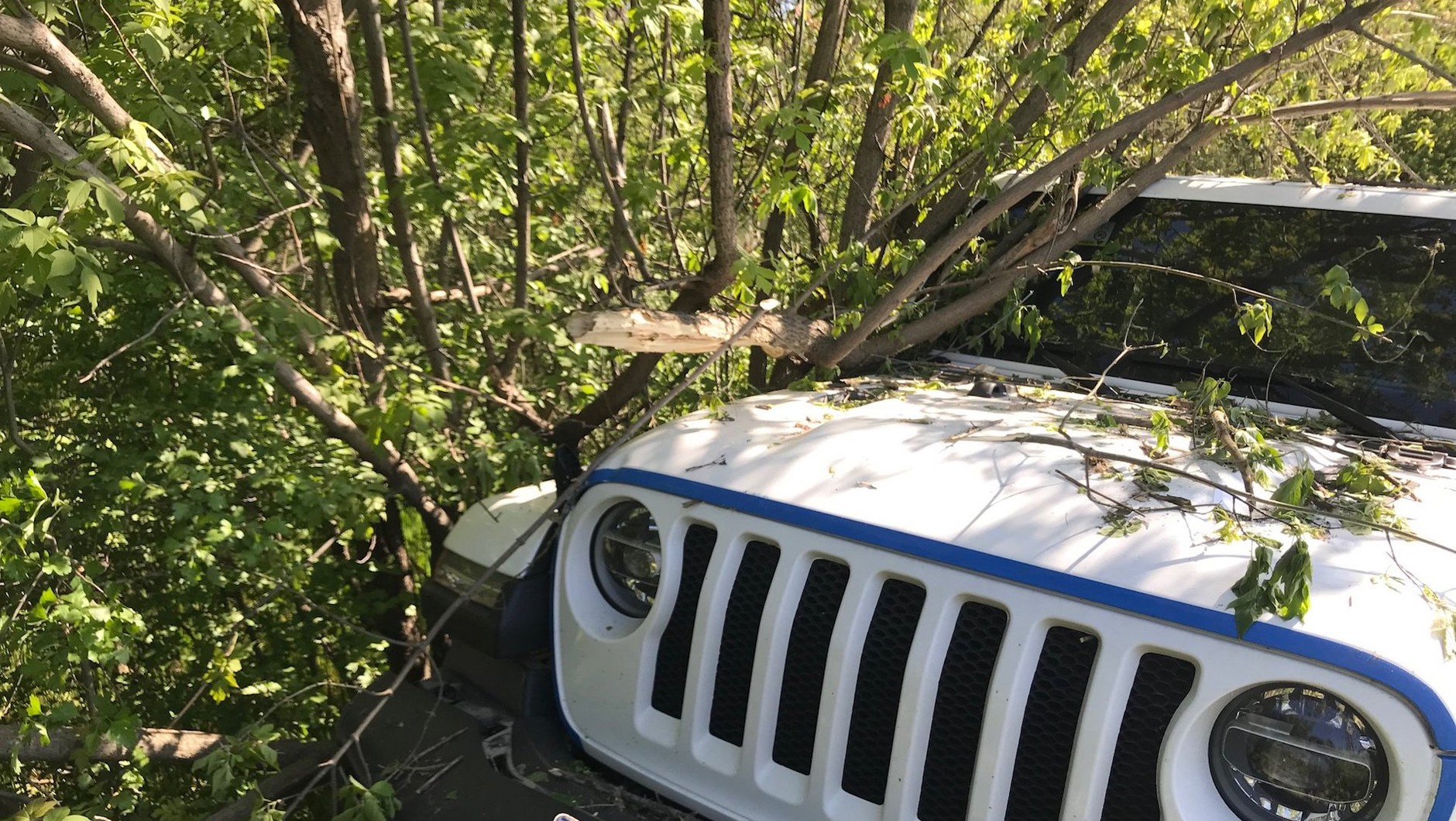 Jeep Wrangler Panek CarSharing