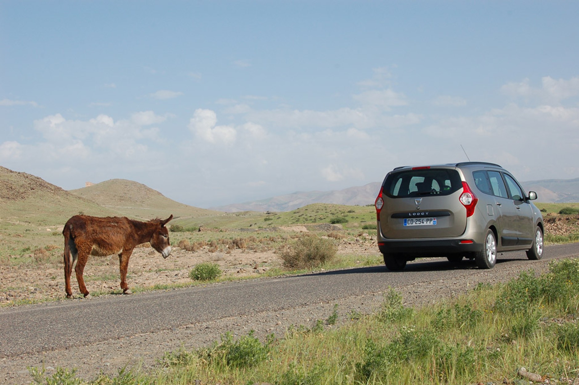 Dacia Lodgy: minivan w mikrocenie