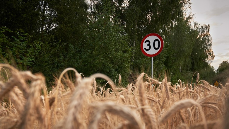 Ograniczenie prędkości do 30 km/h