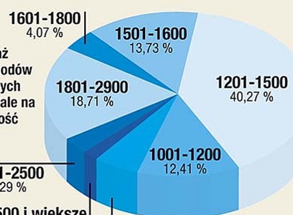 Polacy wybierają małe pojemności