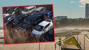 Odkryli gigantyczne cmentarzysko samochodów. Wyjątkowe okazy w Fukushimie [WIDEO]