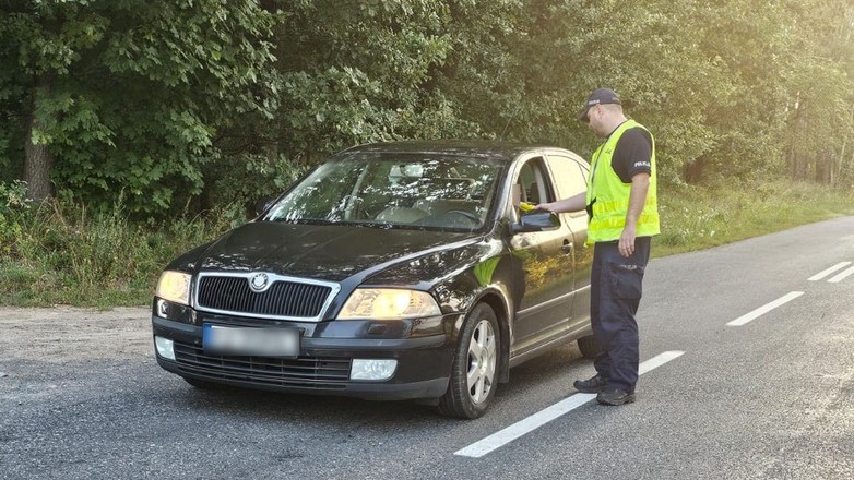 Źródło: zielona-gora.policja.gov.pl