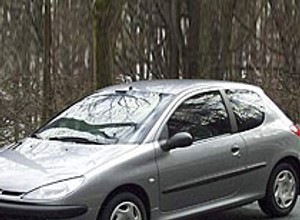 Peugeot 206 (1998-do dziś) - Lwie serce