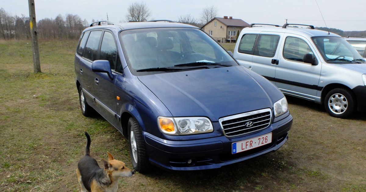 Auto z ogłoszenia - Hyundai Trajet duży van za nieduże pieniądze