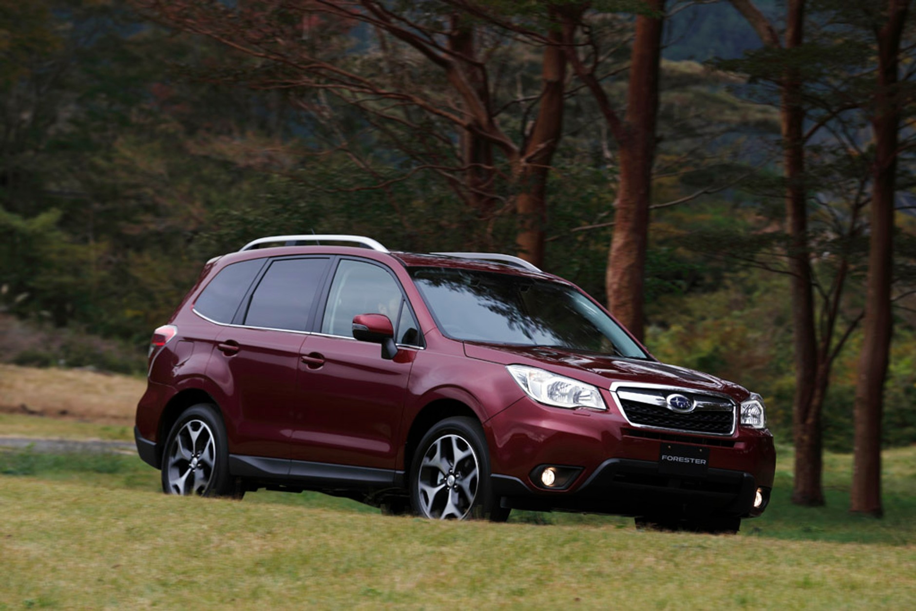 Nowy Subaru Forester: po prostu SUV