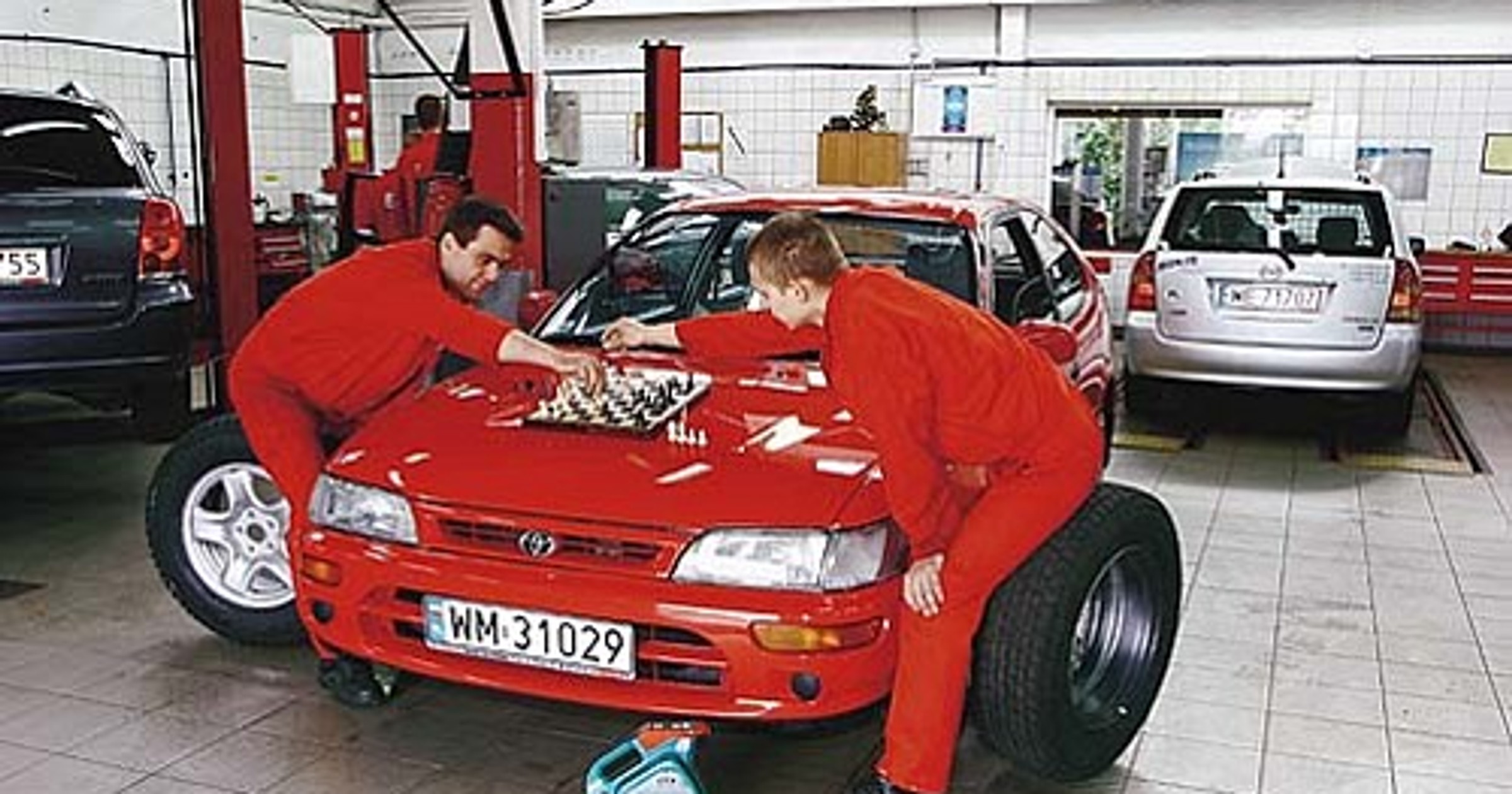 Corolka dla wybrednych