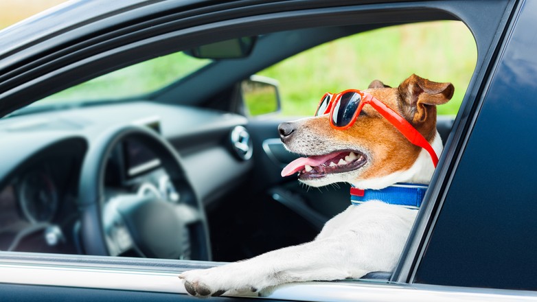 Pijany kierowca próbował w wykroczenie wrobić... no właśnie kogo?