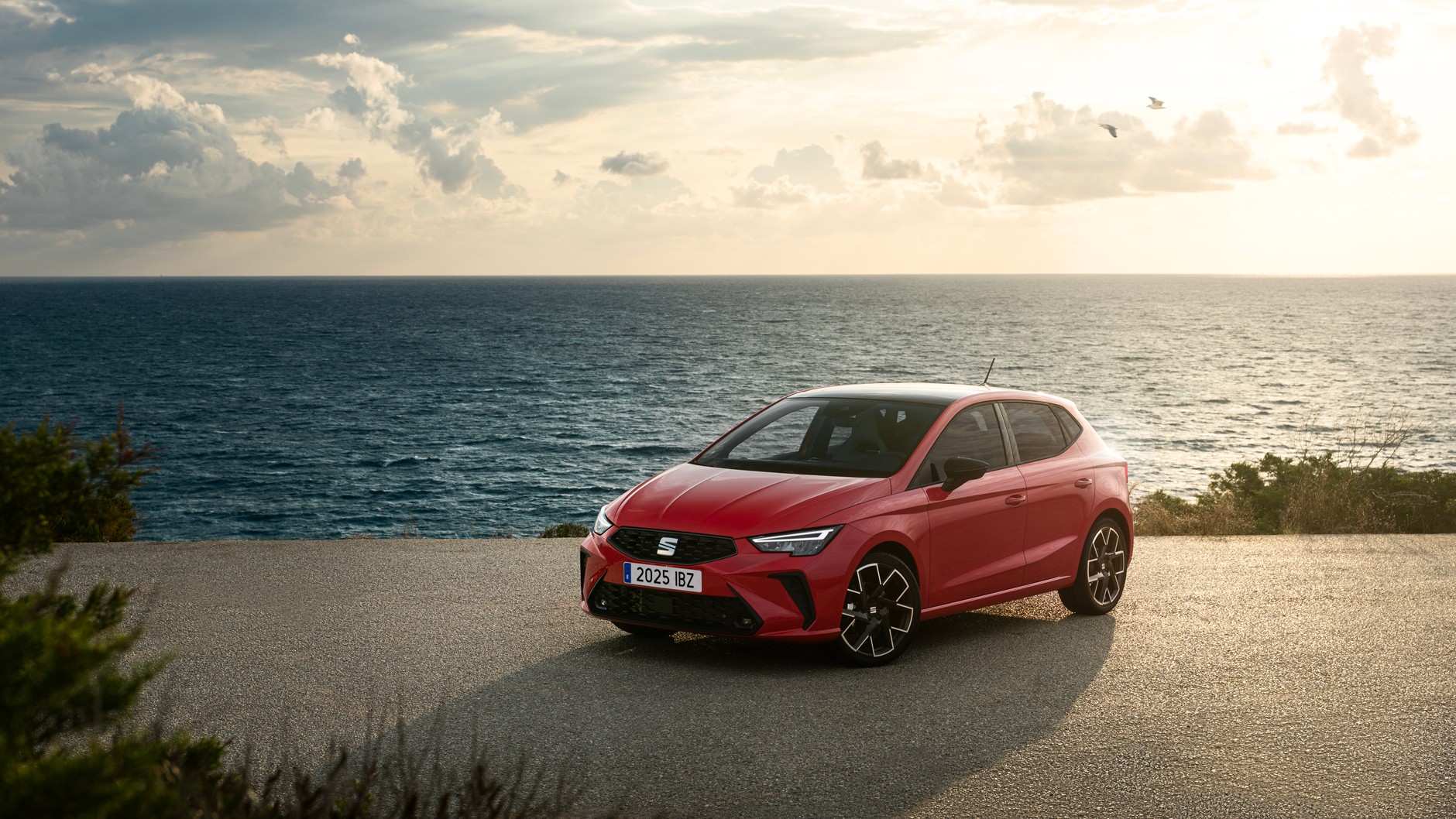 Nowy Seat Ibiza