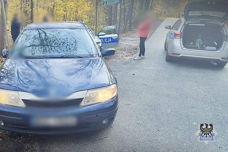 Źródło: walbrzych.policja.gov.pl/policja.pl