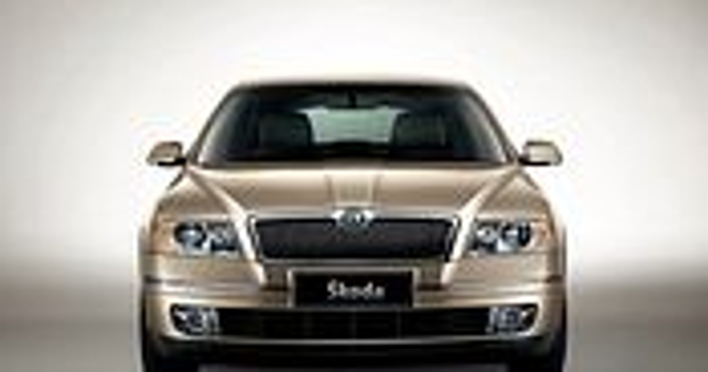 Skoda tworzy sieć w Chinach