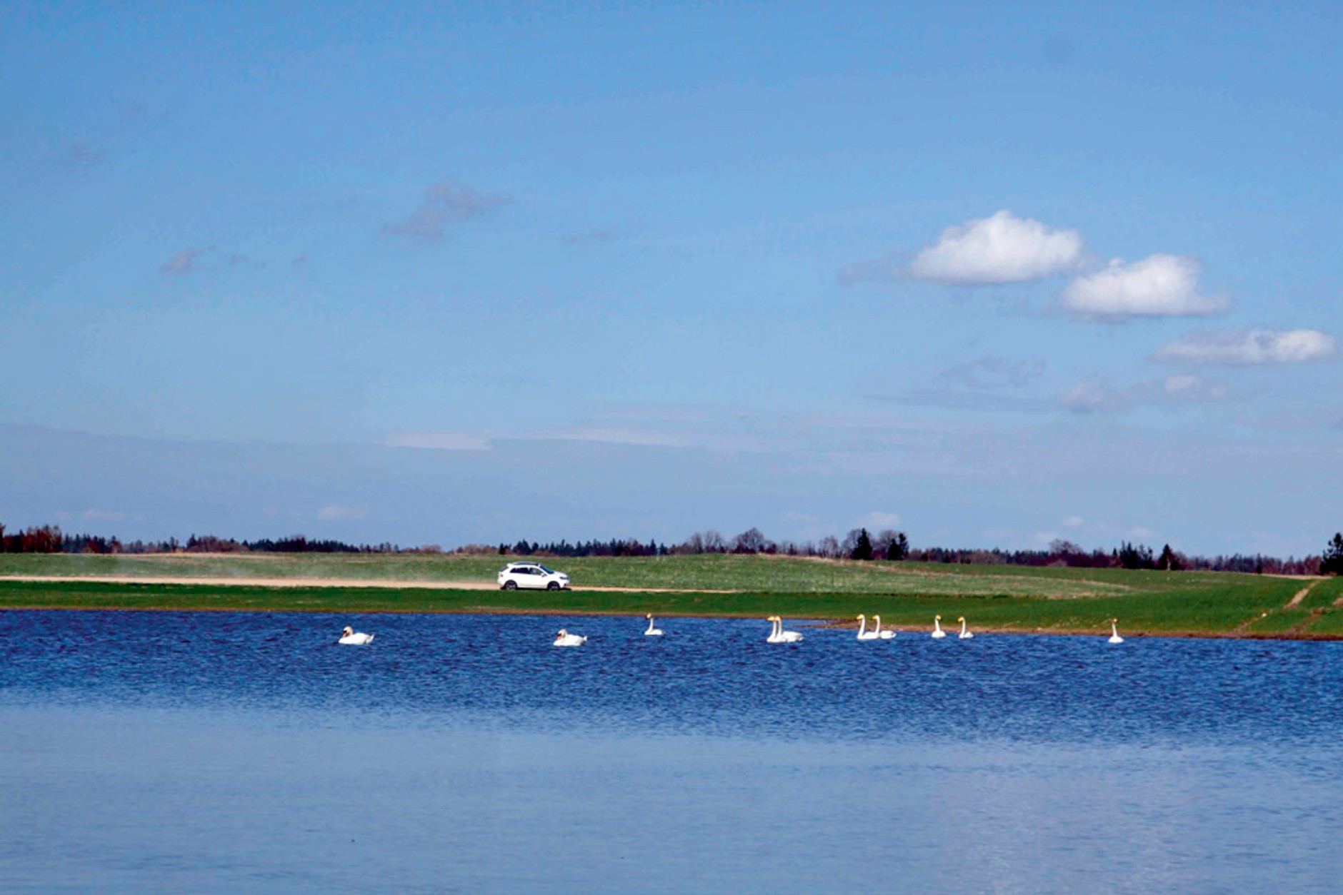 Podróż Renault Koleosem po Łotwie: Kurlandia czyli, nadbałtyckie wojaże