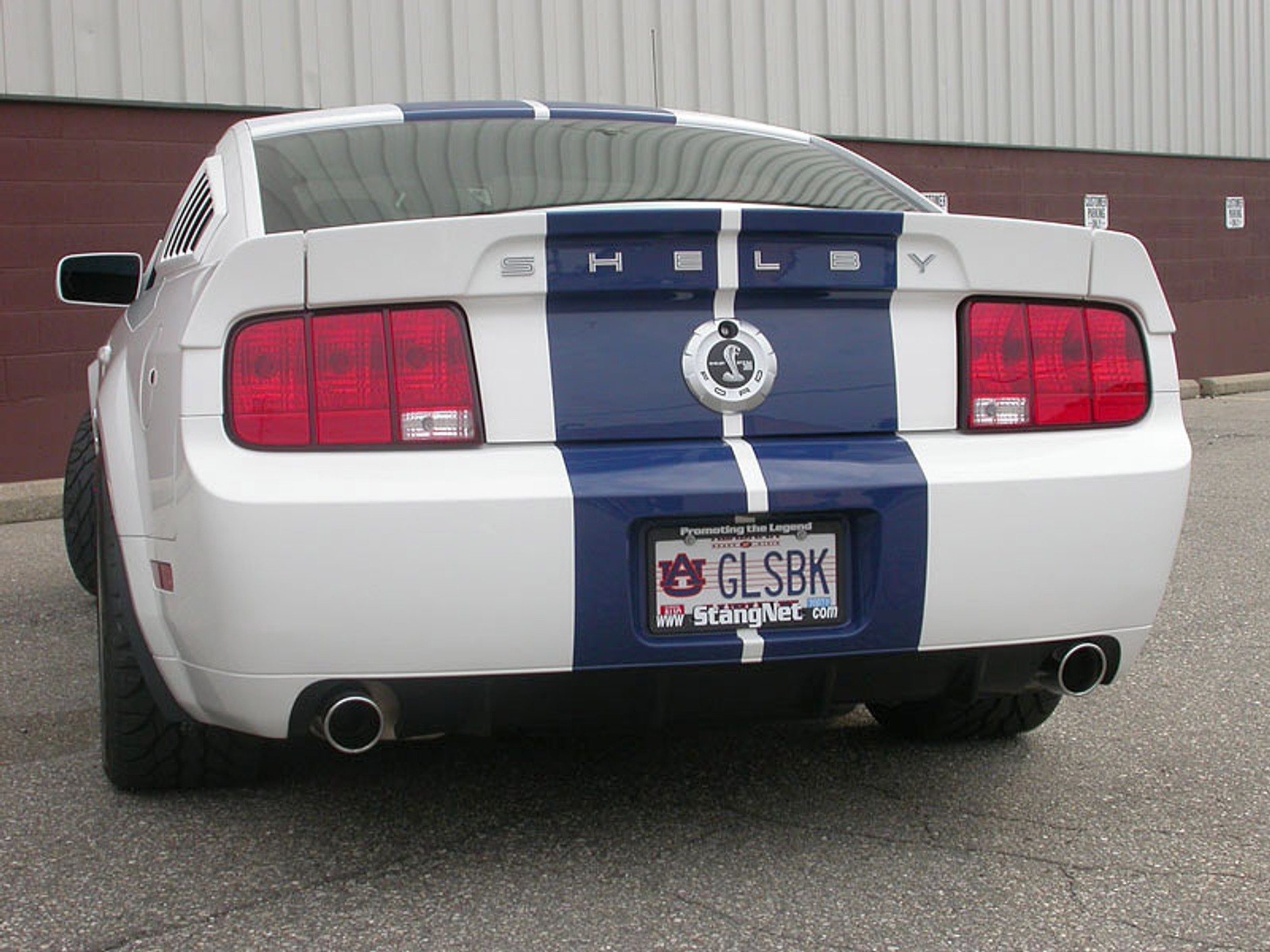 StangNet Mustang GT500: wściekła zebra