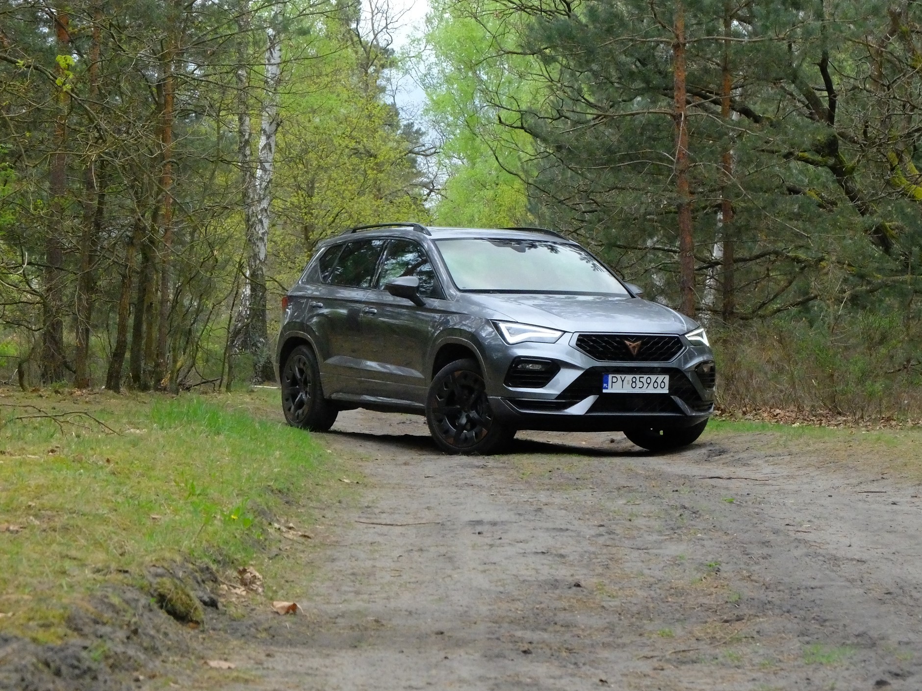 Cupra Ateca 2.0 TSI/190 KM 4x4
