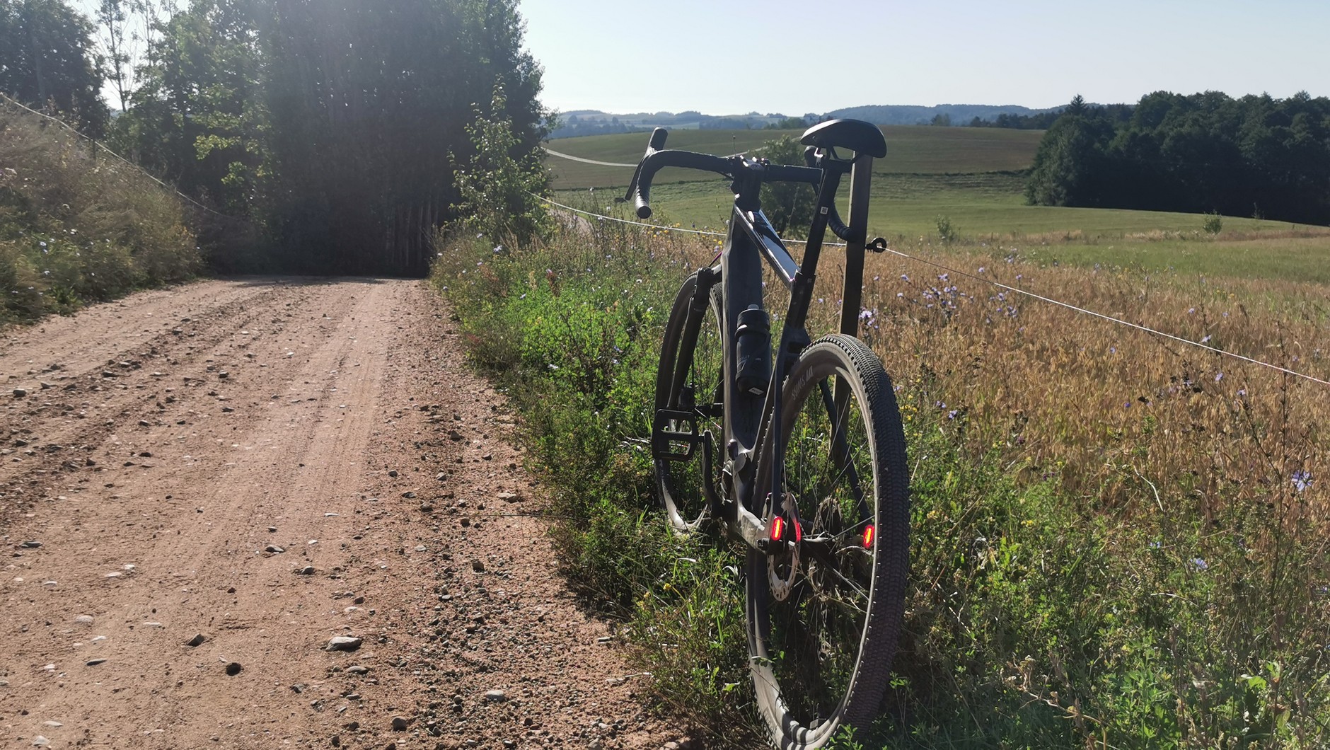 Canyon Grizl:ON CF 7
