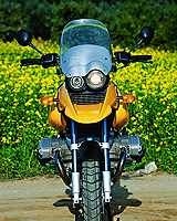 Dominator
