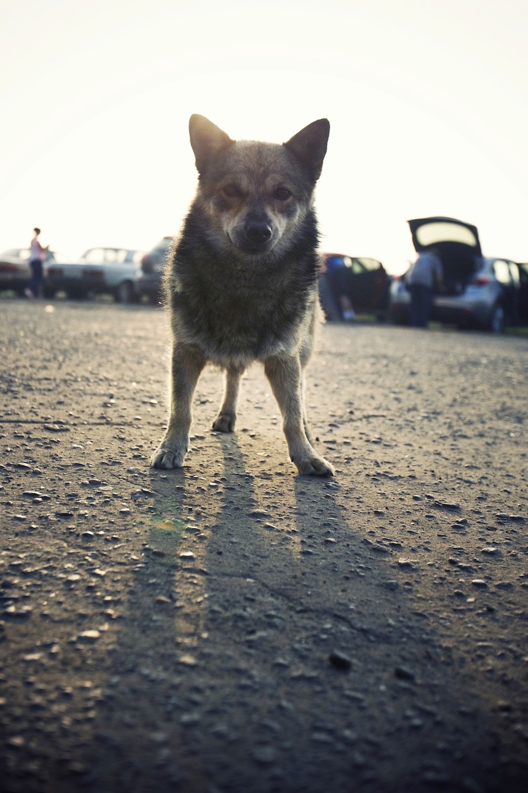 Nowa Mazda 3 na Syberii