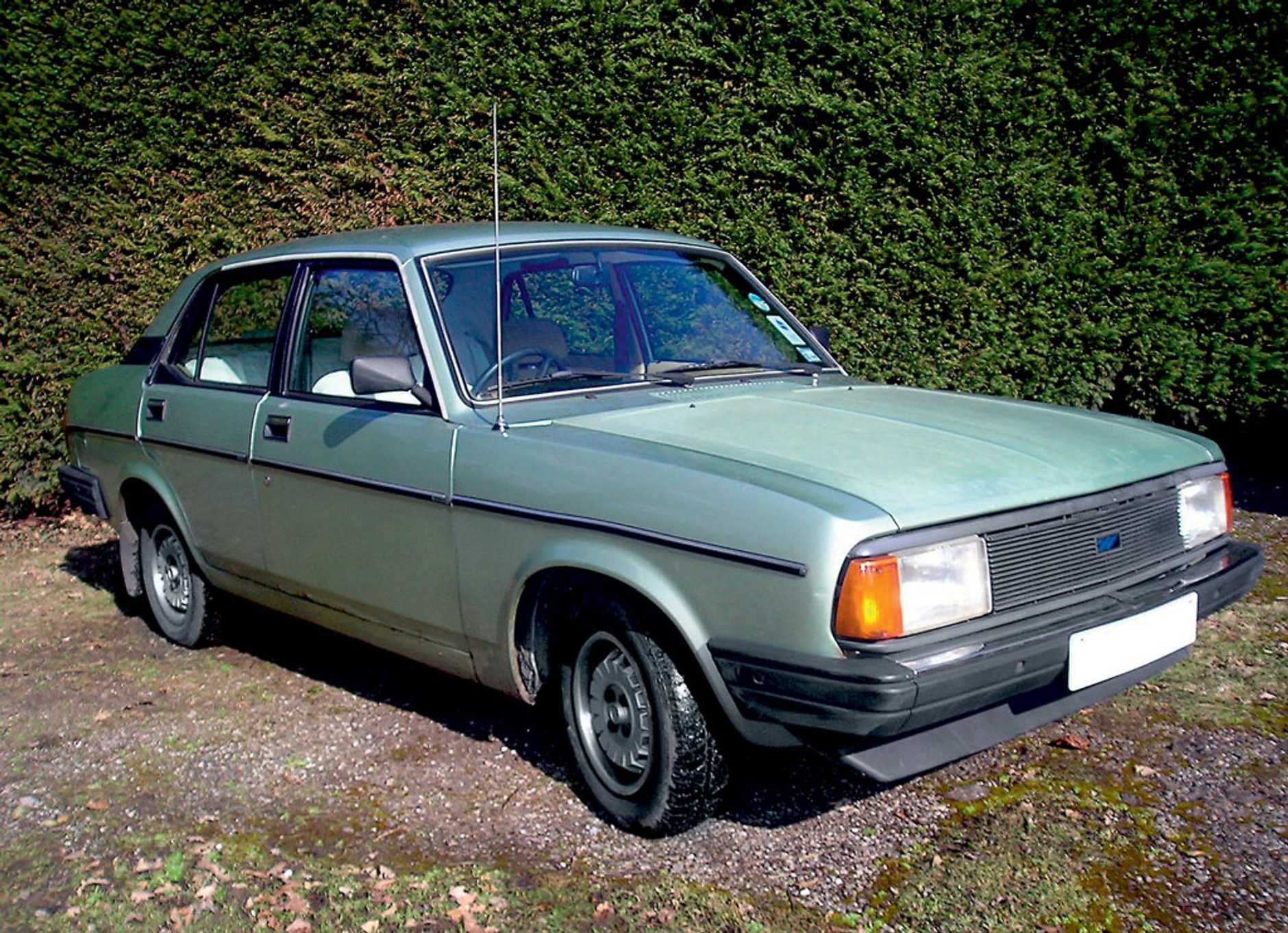 Morris Ital