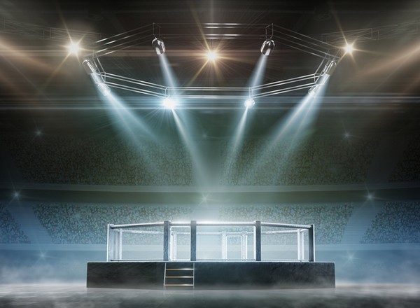 FAME MMA 14 - zrobiliśmy motoryzacyjne pojedynki gwiazdom oktagonu