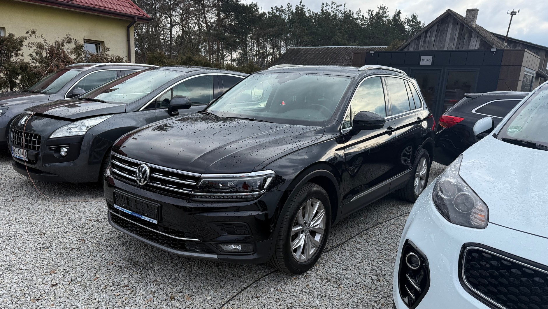 Volkswagen Tiguan z ogłoszenia