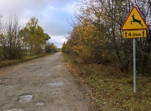 Czy polskie drogi są już przygotowane na najcięższe ciężarówki?