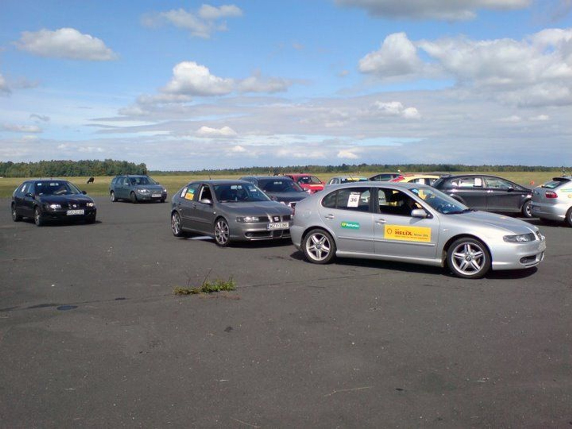 VI. Ogólnopolski Zlot LeonClub w Kielcach (24-25.04) - program imprezy