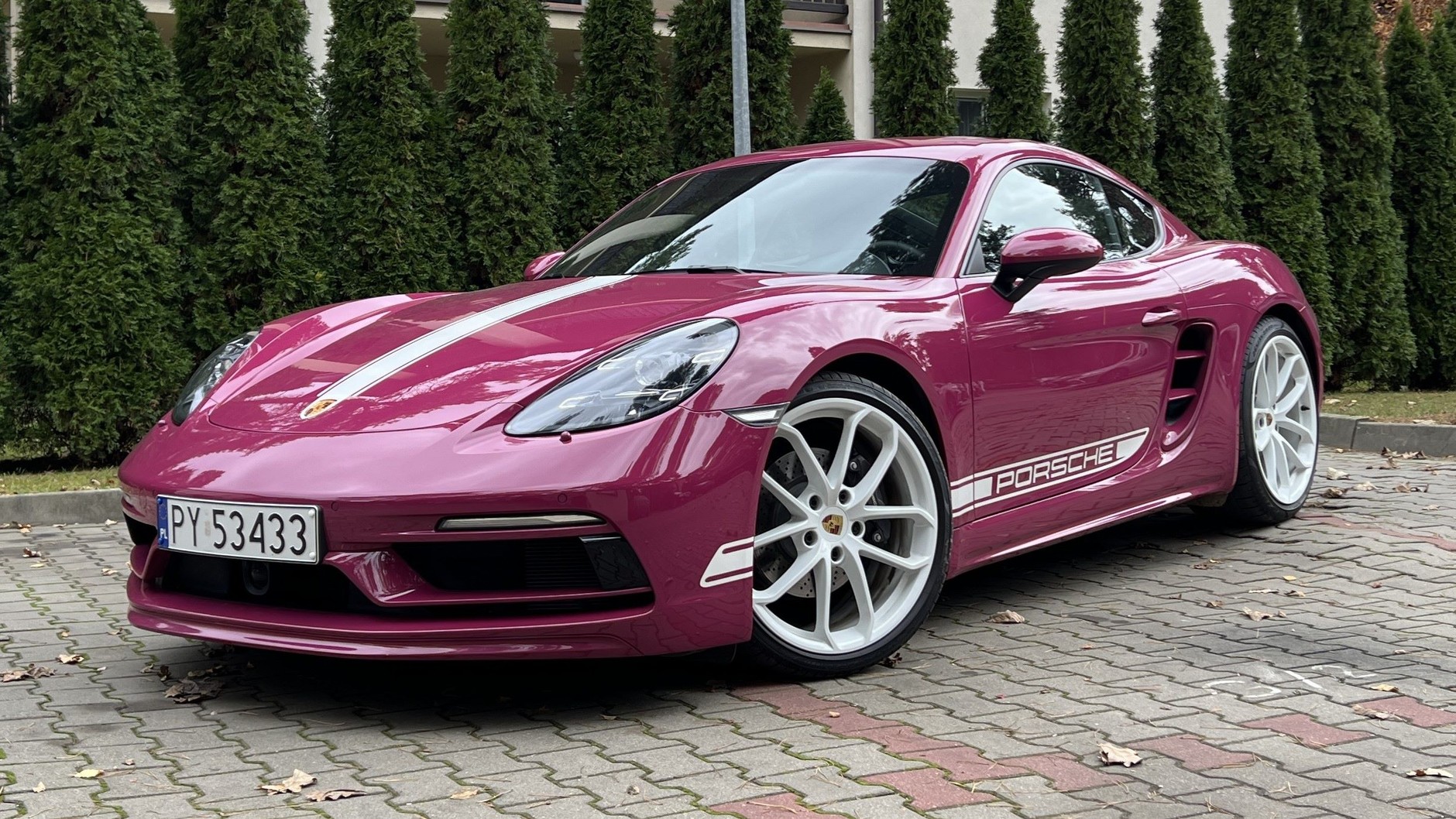 Porsche 718 Cayman Style Edition (kod 982; model z 2023 r.)