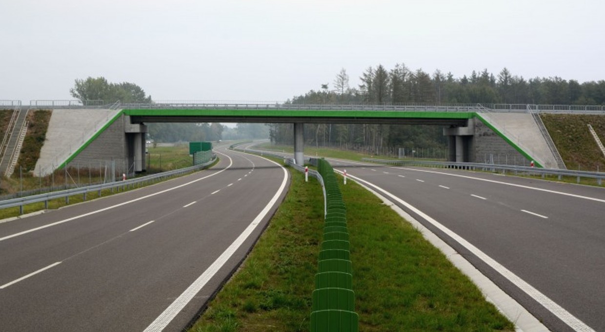 W 2021 roku przetargi na 680 km nowych dróg krajowych