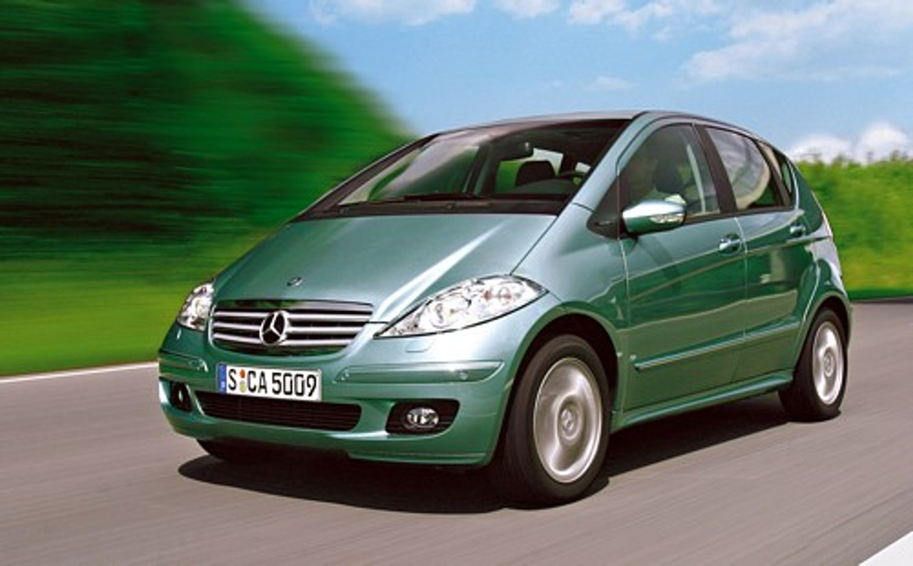 Bardzo wyrośnięte A