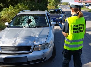 Funkcjonariusze ITD zatrzymali Audi z ogromną dziurą w szybie. Tłumaczenie kierowcy rozbraja