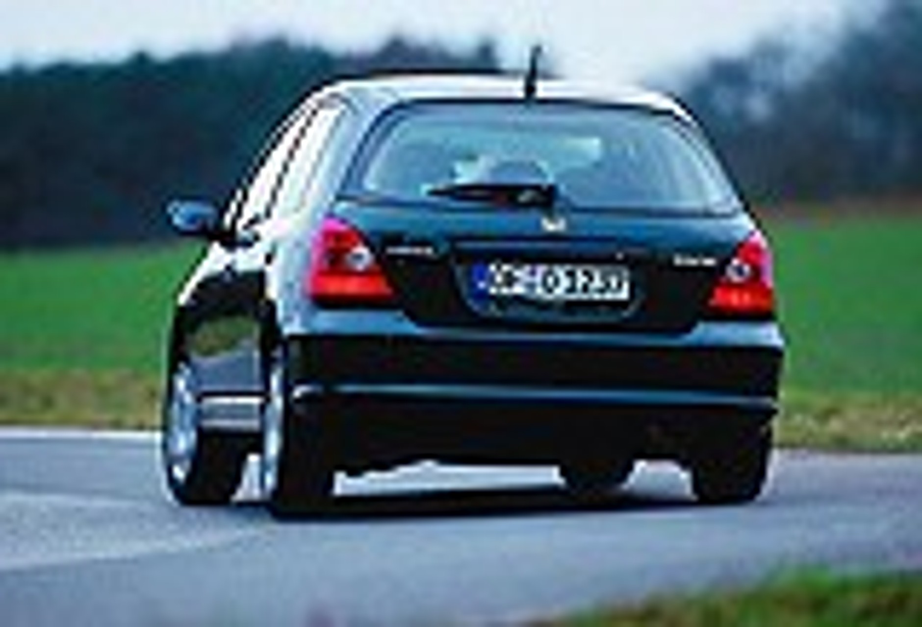 Szara myszka wychodzi z cienia