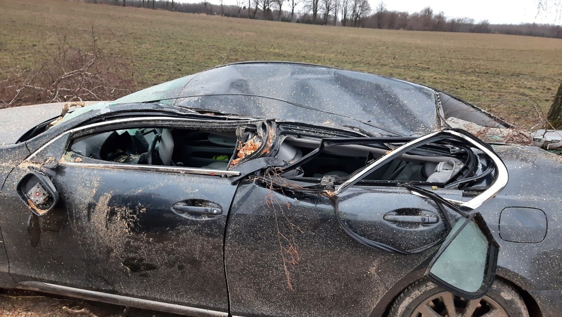 Lexus zdemolowany przez powalone drzewo. Skutki wichury