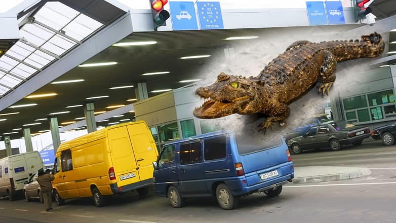 Obywatel Ukrainy zgłosił się do kontroli granicznej z krokodylem