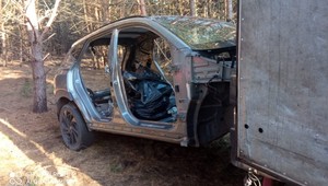Spokojnie demontowali skradzione auto w lesie. Policjanci ich zaskoczyli
