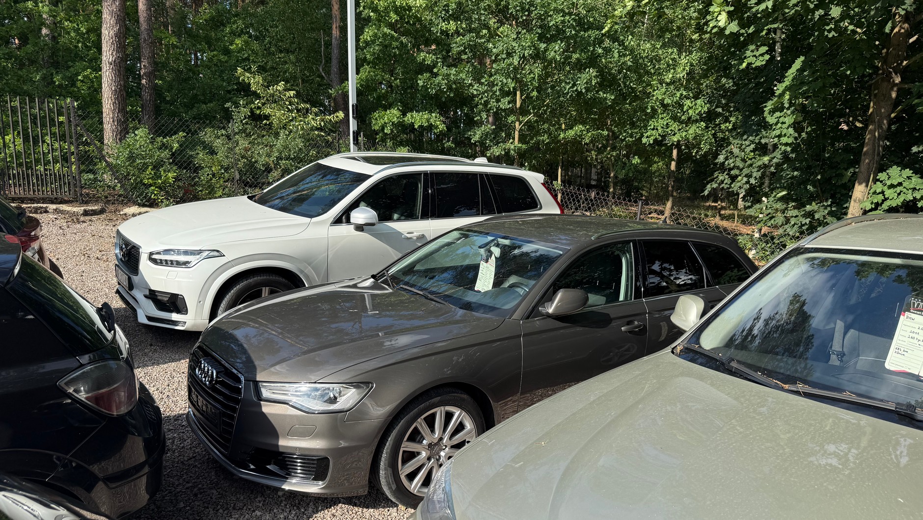 Audi A6 z ogłoszenia