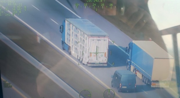 Mandat z helikoptera? Kierowcy ciężarówek nie kryli zaskoczenia