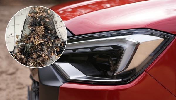 Isuzu zapaliło się przez to, co gromadziło się między osłoną a wydechem