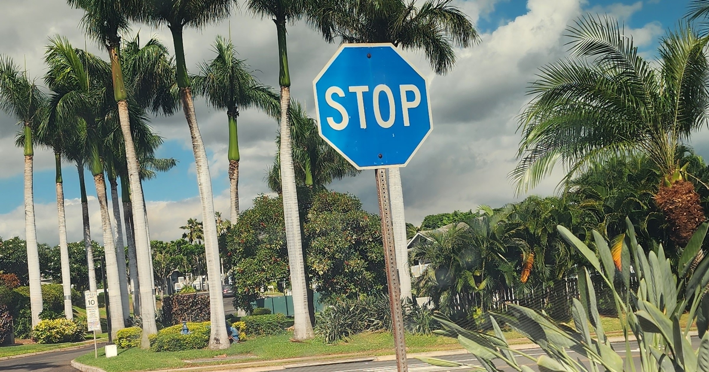 Niebieski znak STOP