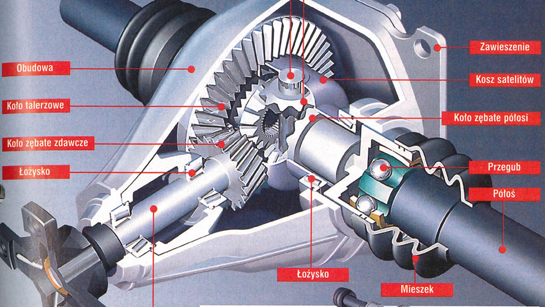 Jak działa mechanizm różnicowy?