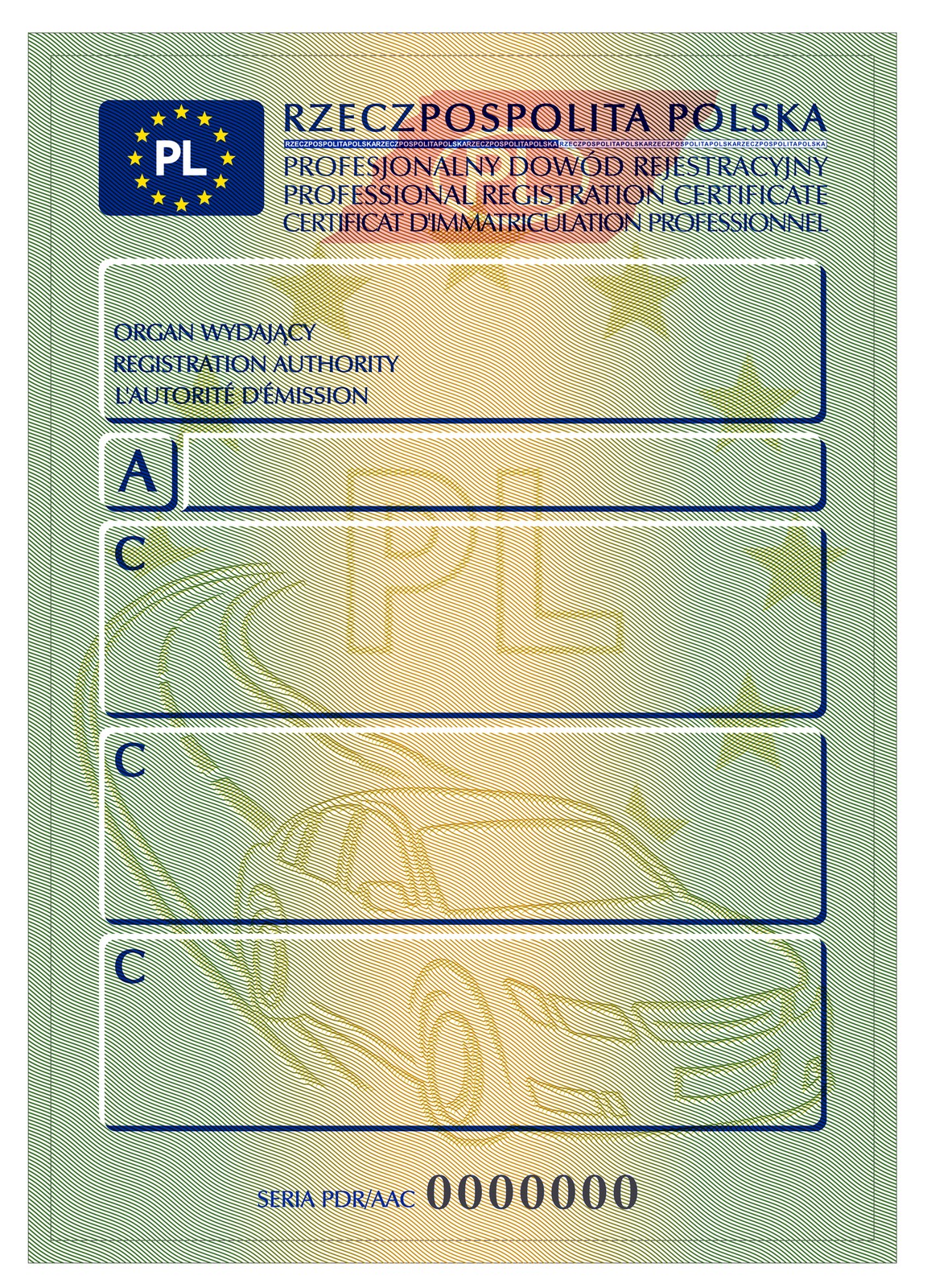 Profesjonalna rejestracja