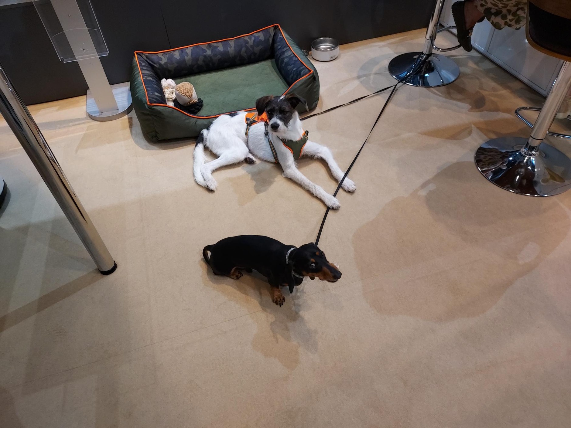 MAN TGS Action Mobil