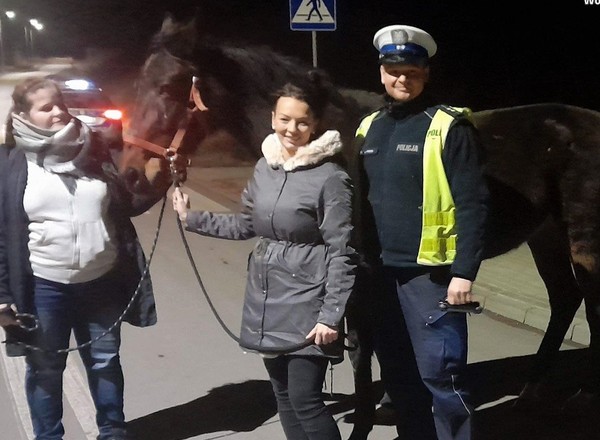 Policjanci szukali nietypowego uciekiniera. "Poznawał nową okolicę"