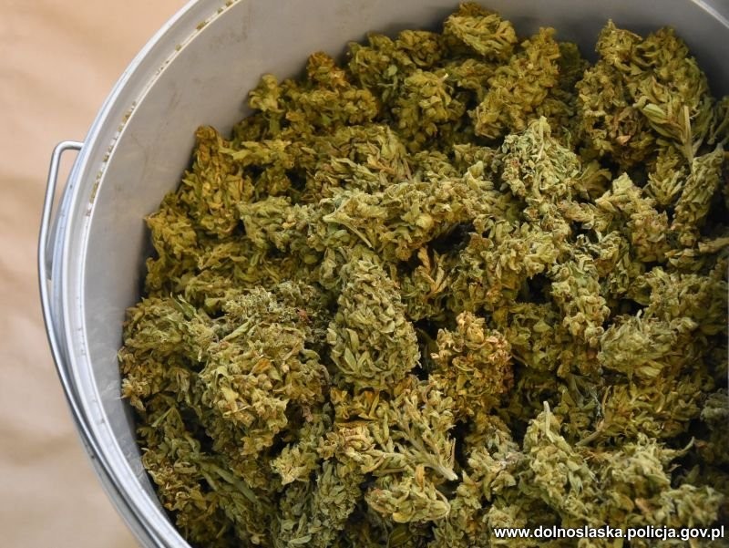 Narkotyki w samochodzie