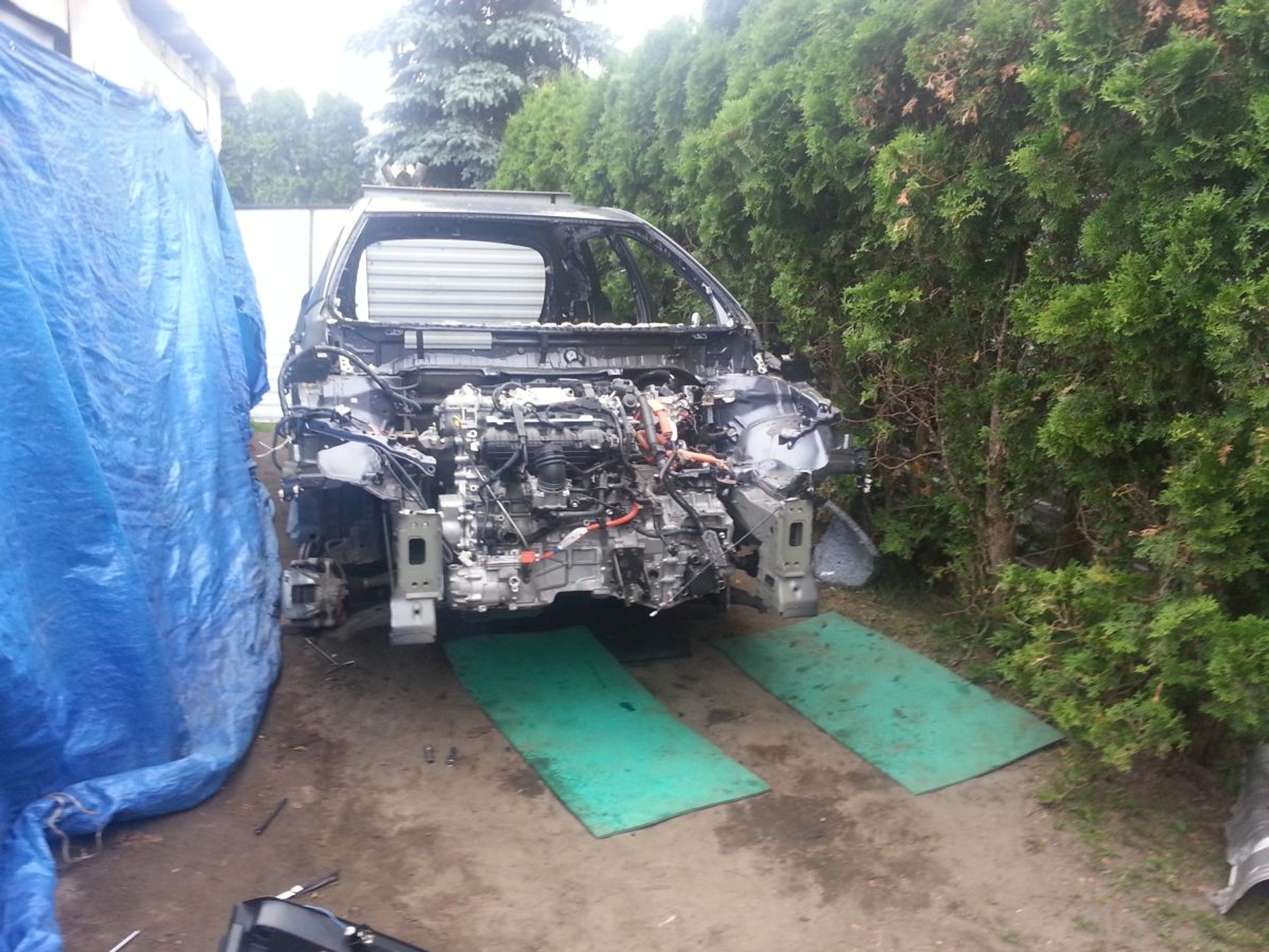 Złodziejska dziupla