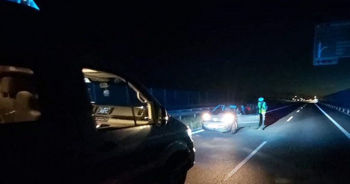 36-letnia kobieta wiozła do weterynarza chorego psa. Nawet nie wiedziała, że na drogę ekspresową S14 wjechała "pod prąd"