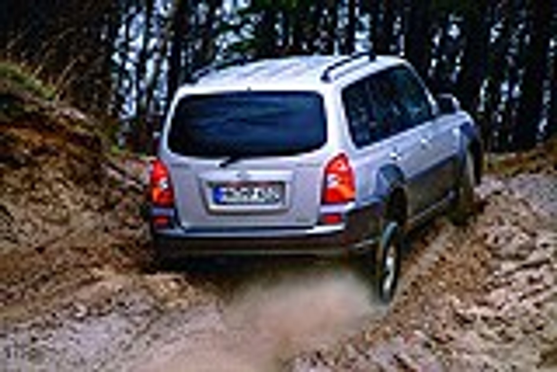 Czwórka z jednej stajni