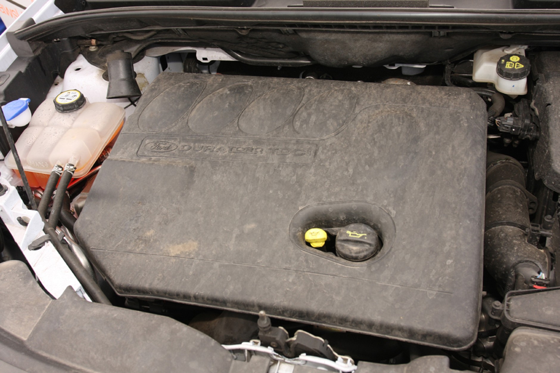 Co potrafią SUV-y? Nasi czytelnicy testują 5 aut klasy SUV - Na ringu stanęły: Citroen C-Crosser, Suzuki Grand Vitara, VW Tiguan, Kia Sportage i Ford Kuga